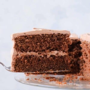 Old Fashioned Chocolate Fudge Cake slice on cake server.