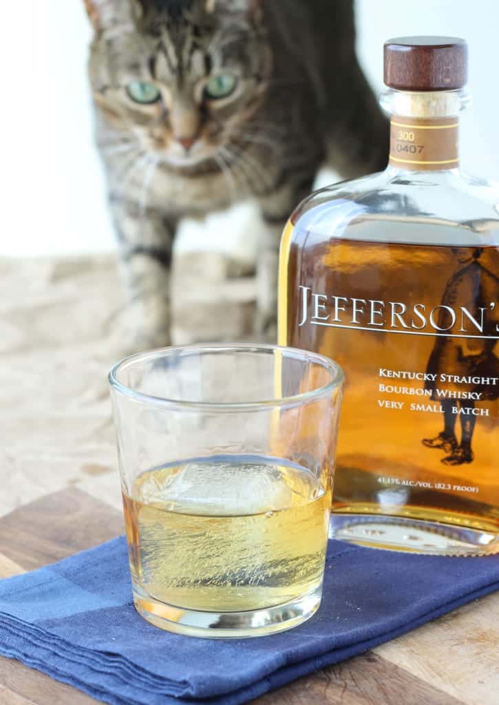 cat stalking bourbon bottle and whisky in glass. 