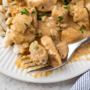 Chicken paprikash with parsley bite on fork.