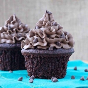 chocolate cupcake with chocolate frosting.