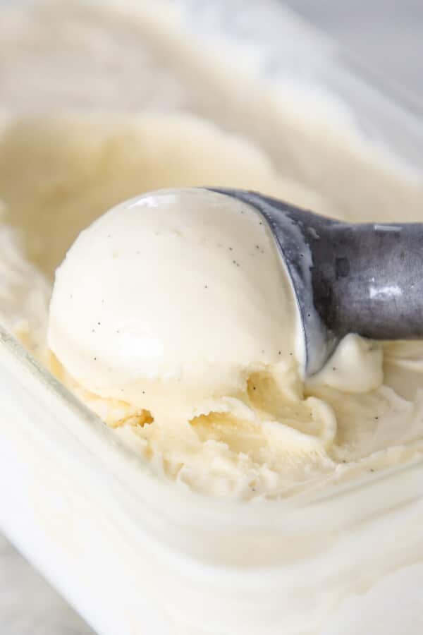 vanilla ice cream in metal scoop.