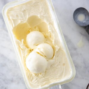 vanilla ice cream in vintage glass loaf pan.