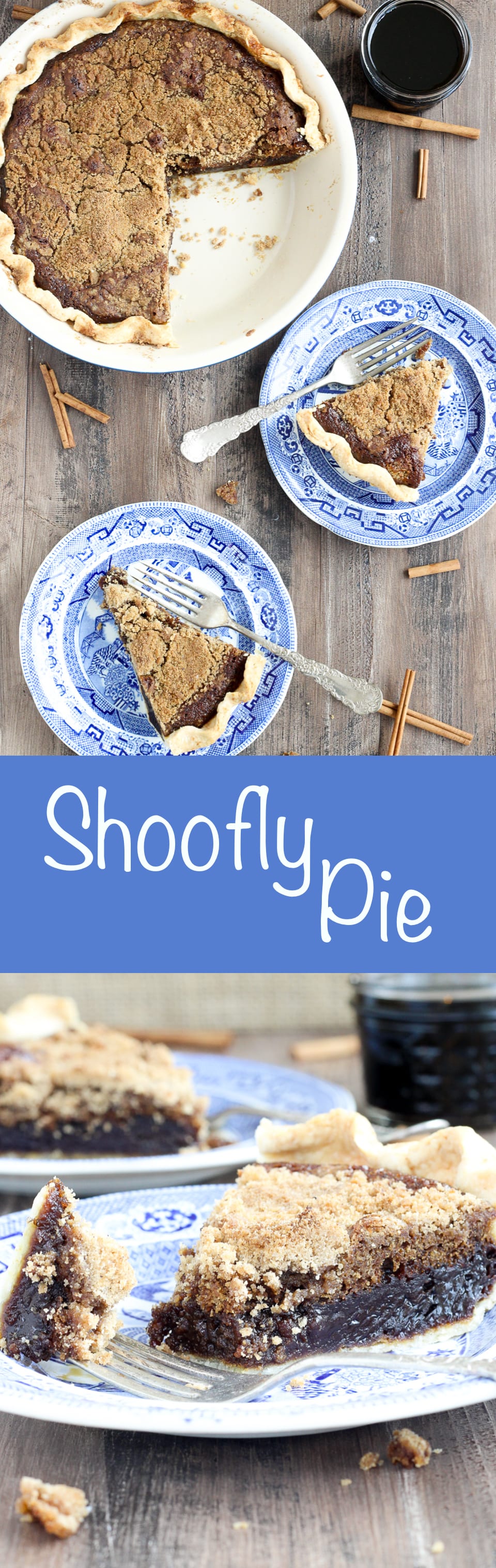  This shoofly pie has all the flavors of a molasses ginger cookie mixed with a buttery streusel in a flakey pastry crust. The rich, spicy, sweet filling just melts in your mouth bite after bite (slice after slice)