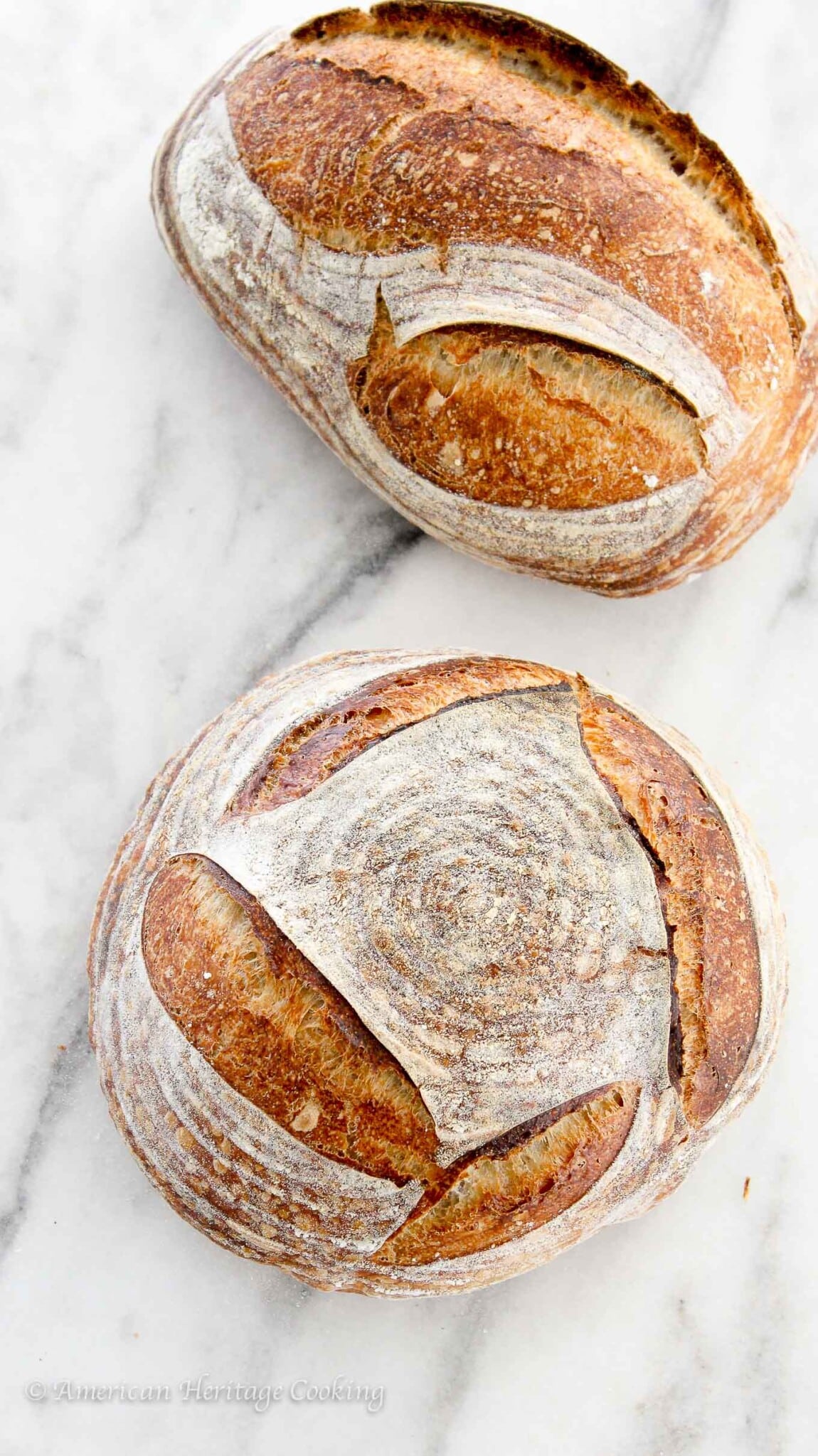 Basic Sourdough Bread Tutorial.