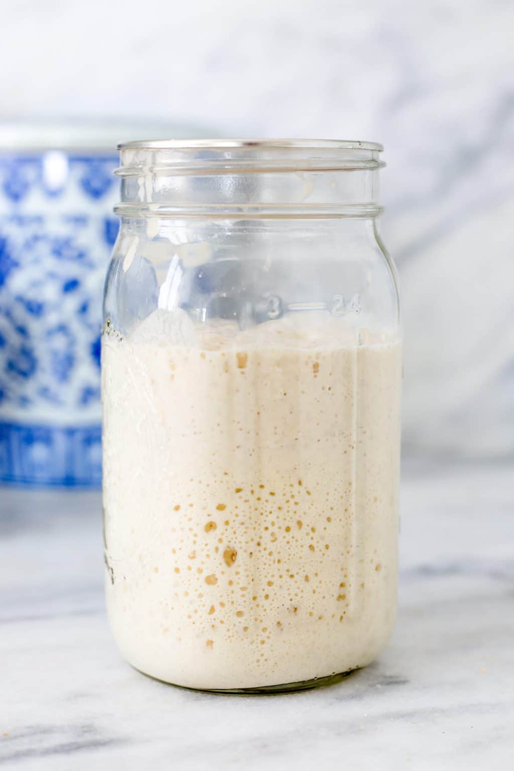 Sourdough Starter Recipe - Chef Lindsey Farr