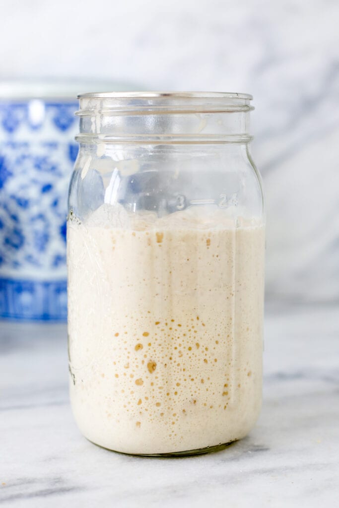 Making a Sourdough Starter (Levain) from Scratch Recipe