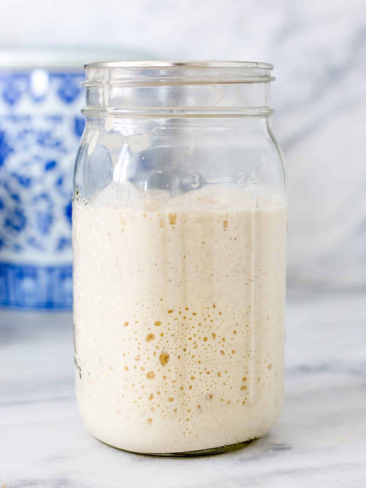 Sourdough Starter