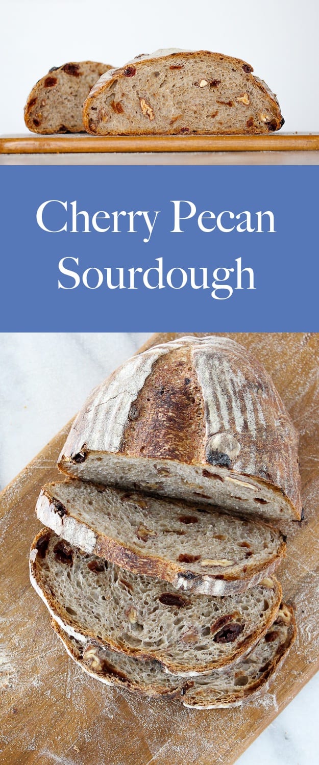 This Cherry Pecan Sourdough Bread is chewy and full of dried cherries and toasted pecans! 