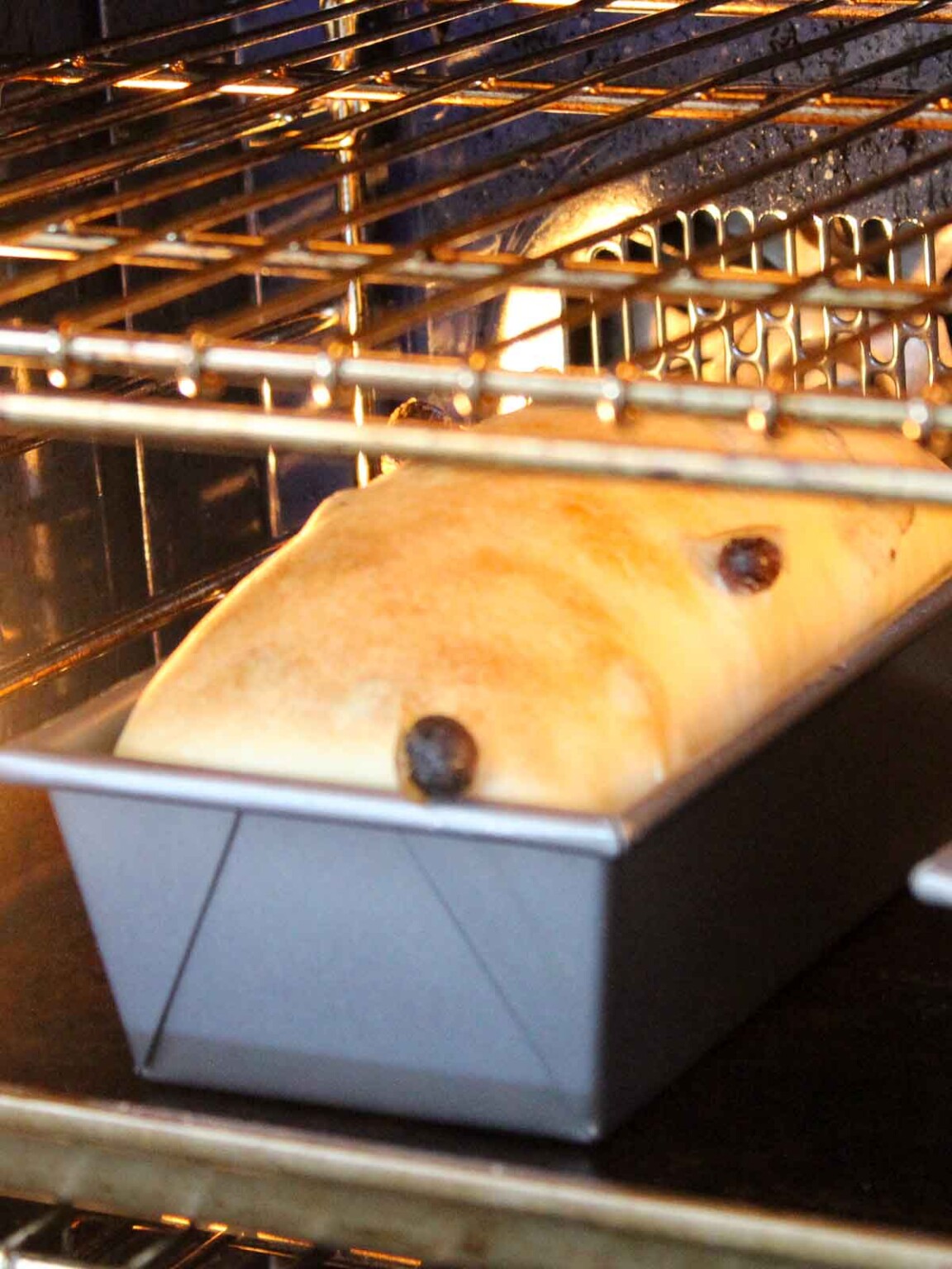 Sourdough Raisin Bread - Chef Lindsey Farr