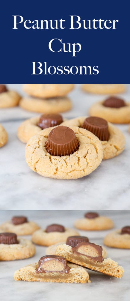 These Peanut Butter Cup Blossoms are like the cookies you grew up making but with a mini Reese’s cup pressed into the center of each one!