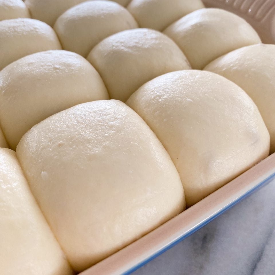 Potato Dinner Rolls