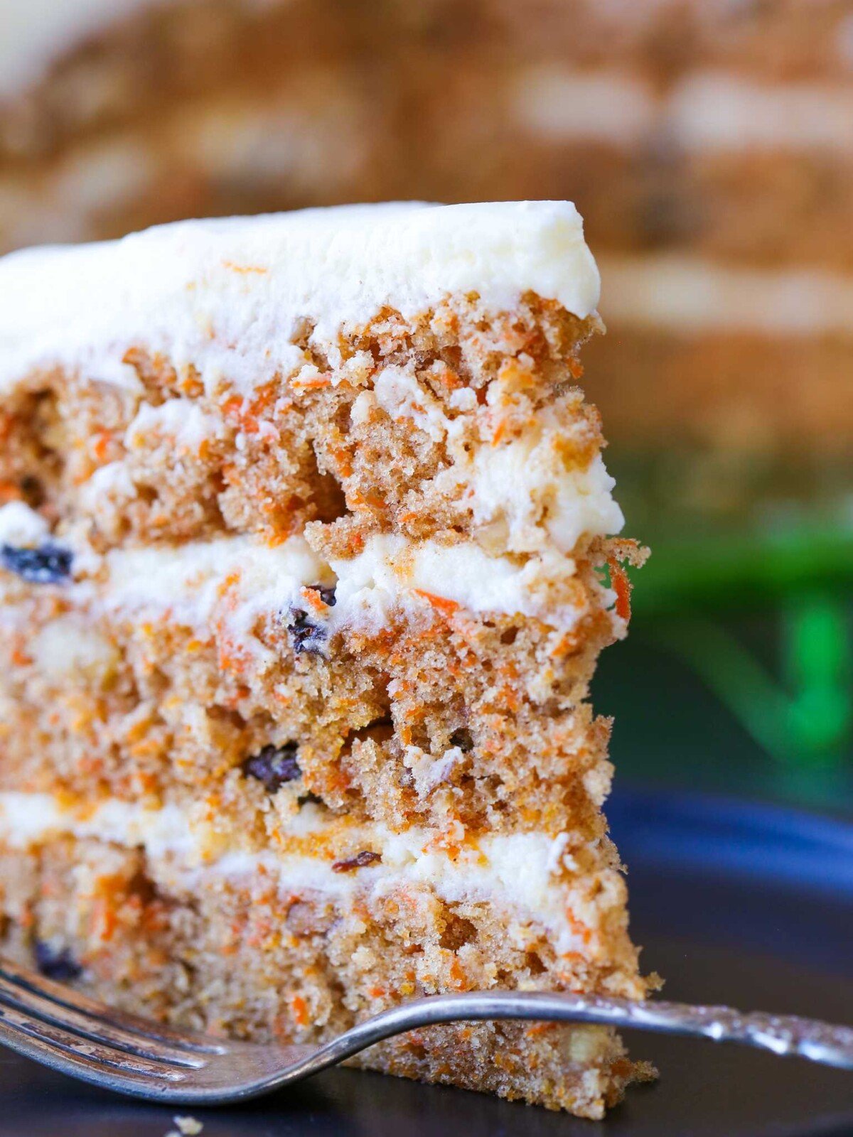 a sideview of a three layer carrot cake.