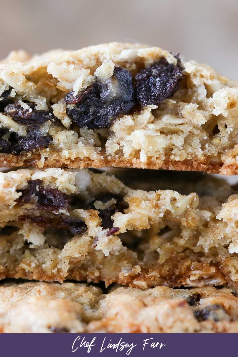 Raisin studded oatmeal raisin cookie interior.
