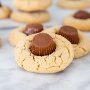 Peanut Butter Cup Blossoms close up