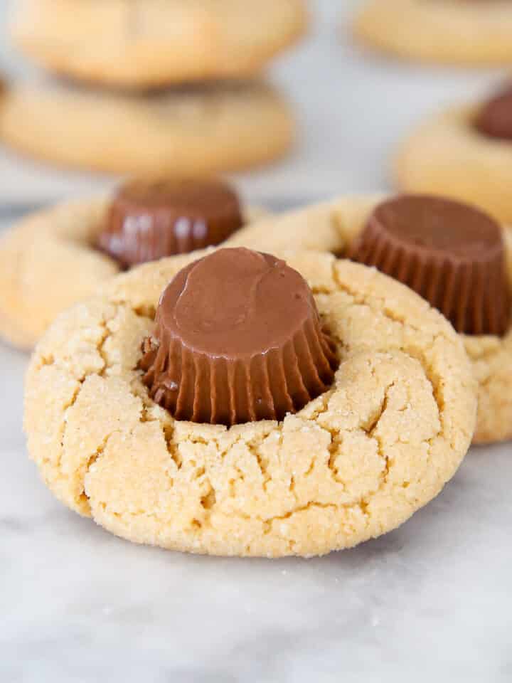 Peanut Butter Cup Blossoms close up