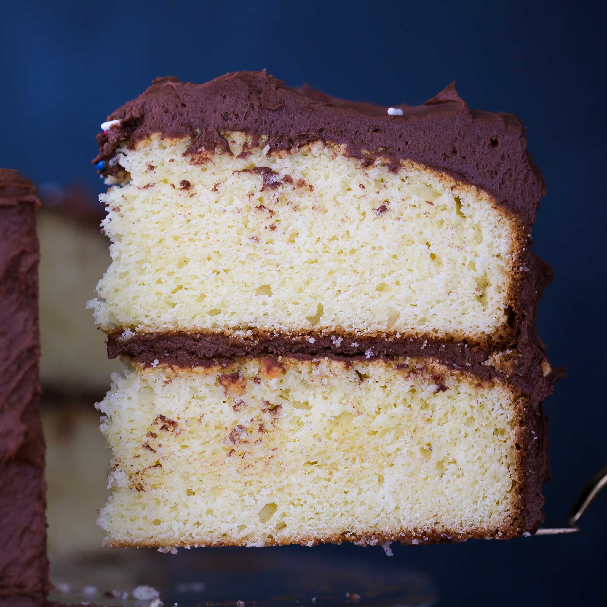 Dessert Slice
