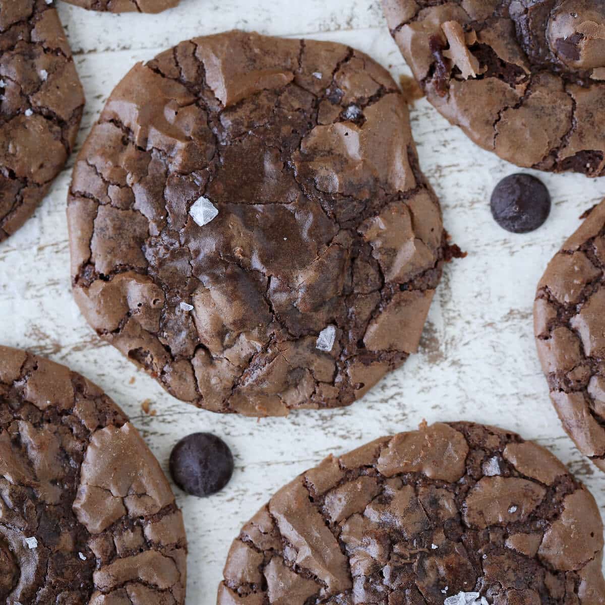 Brownie cookies with a crackled top.