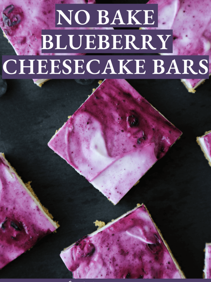 No Bake Blueberry Cheesecake Bars Moody Lighting