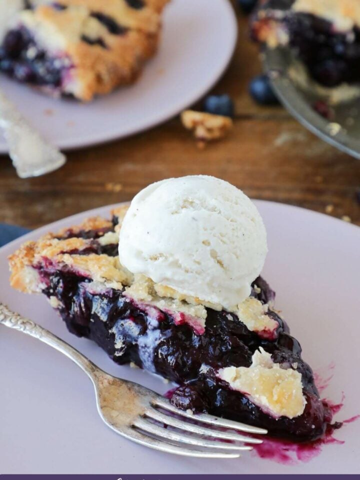 A piece of blueberry pie on a plate with a fork.