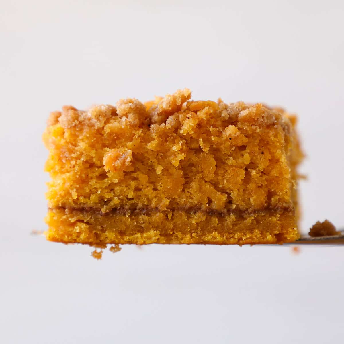 pumpkin coffee cake on cake server detail view of crumb and spice layer. 