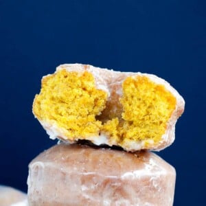 Pumpkin Spice Cake Donuts interior texture