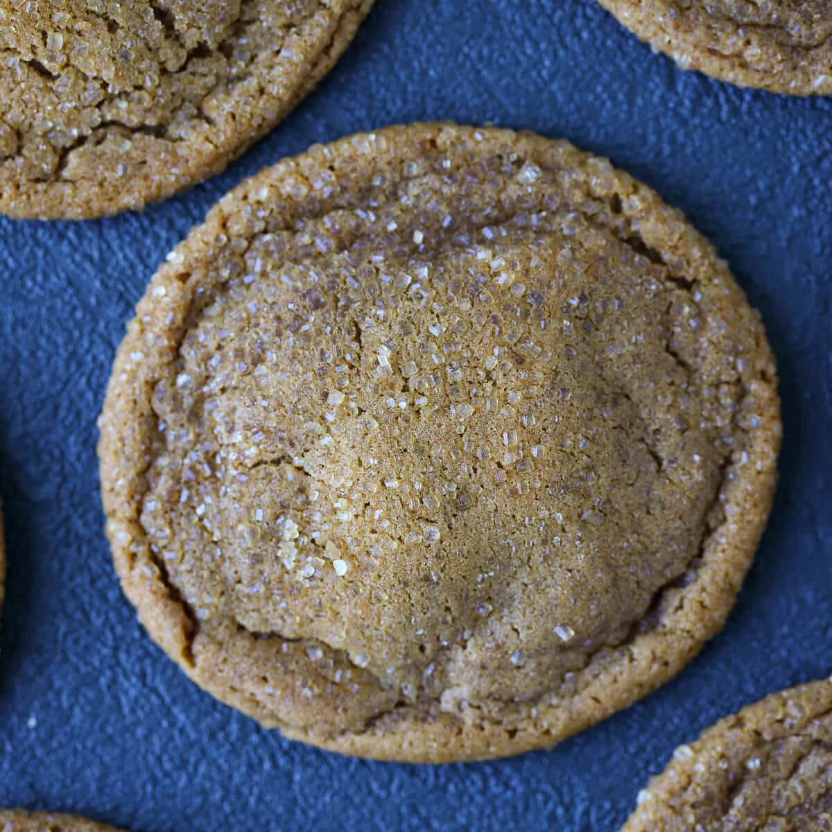Old Fashioned Chewy Molasses Cookies Overhead