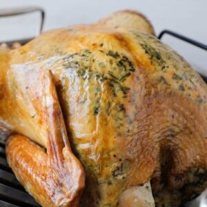 Roasted Herb Turkey Perfect Roasting