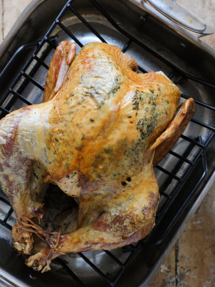 Roasted Herb Turkey Chef Lindsey Farr