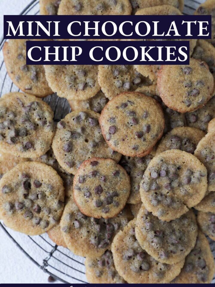 Mini Chocolate Chip Cookies Chef Lindsey Farr