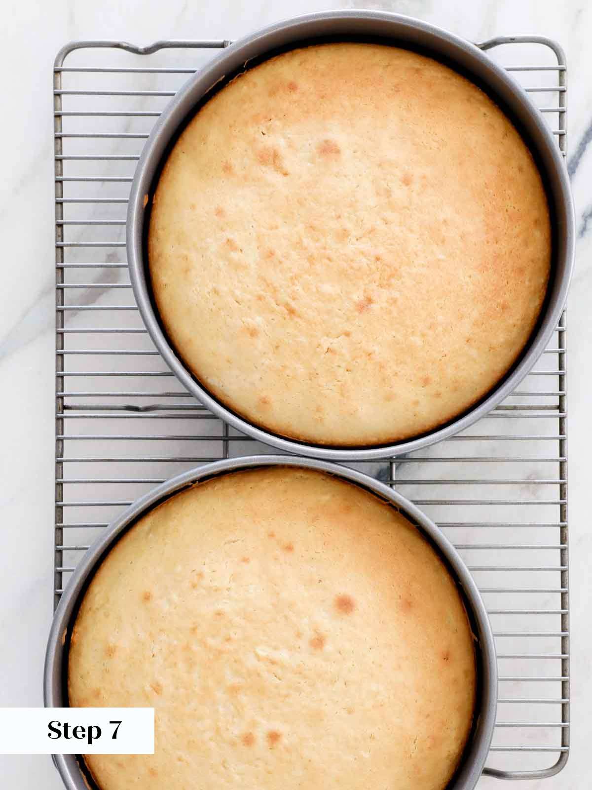 baked vanilla cake layers.