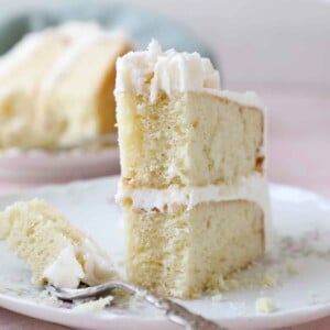 slice of vanilla cake upright on plate interior texture detail.