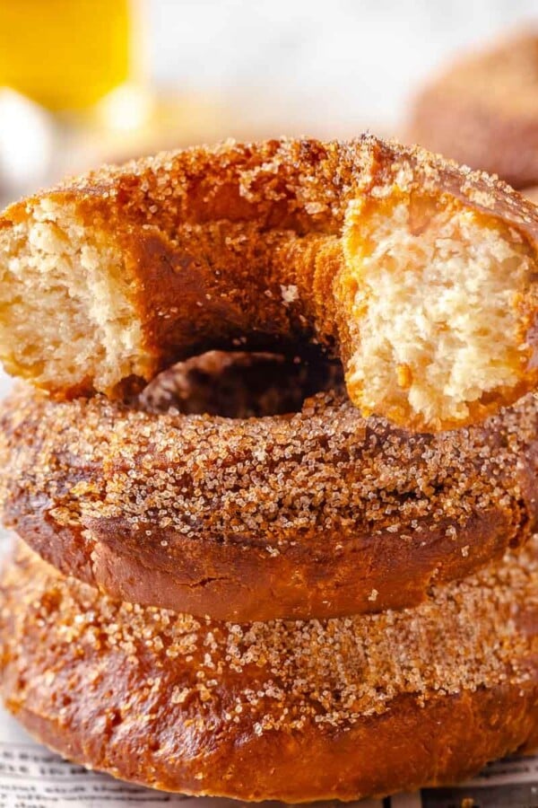 A bitten apple cider donut showing its inside texture.