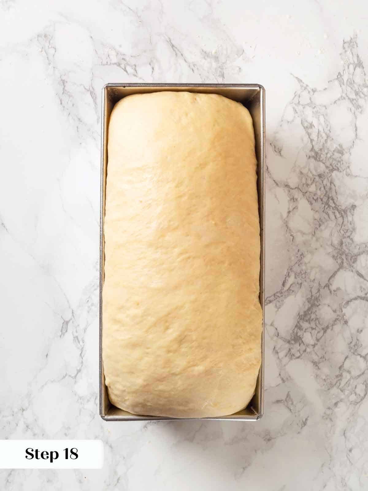 Proofed potato bread dough in a loaf pan, risen and ready to bake.