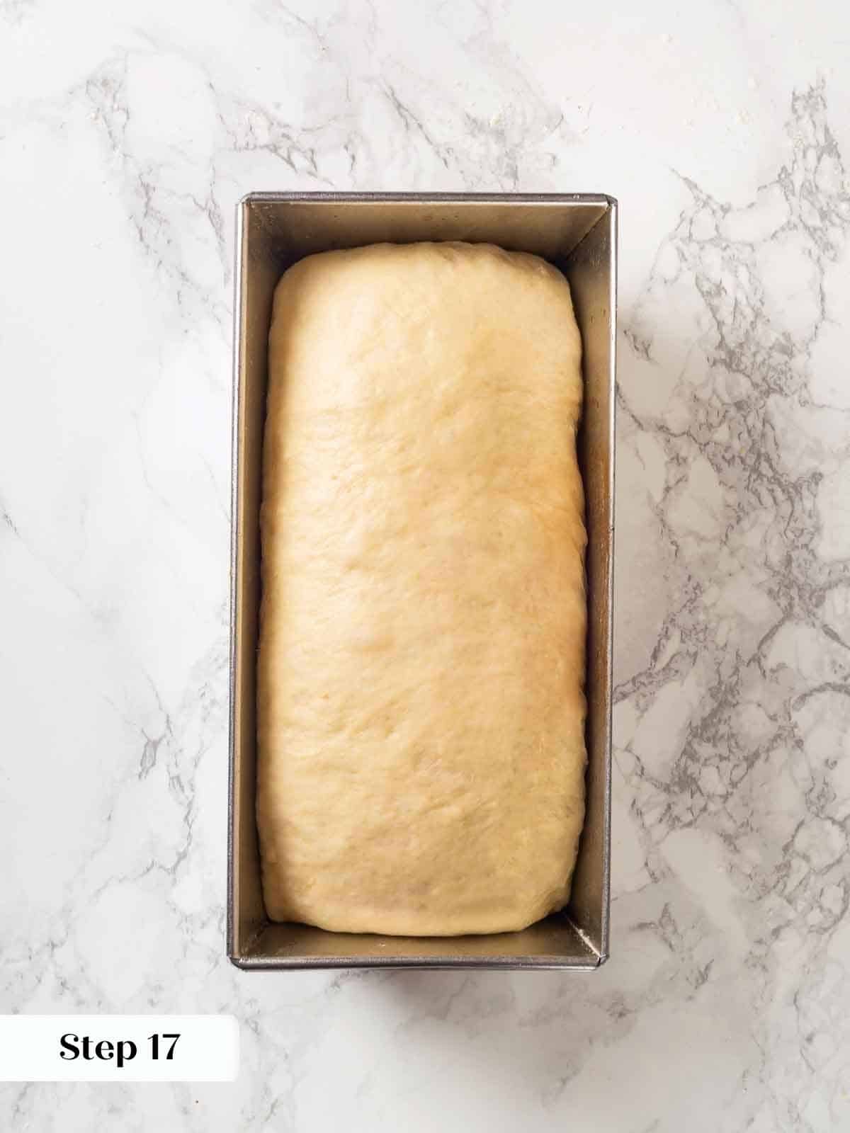 A loaf pan with freshly shaped dough, before rising and proofing.