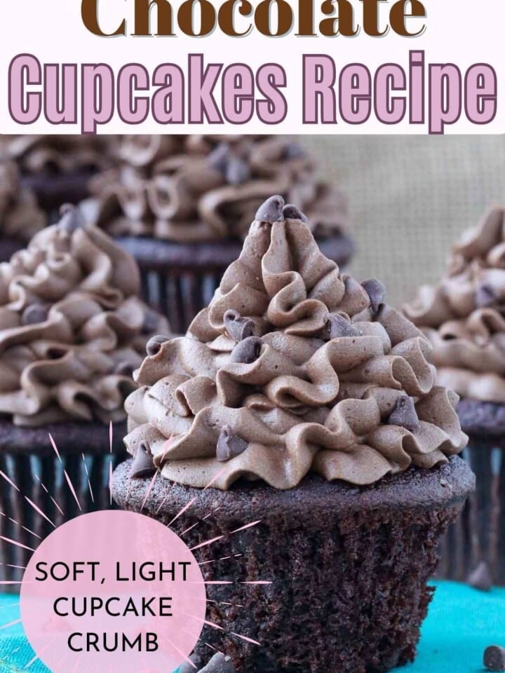 soft, rich chocolate cupcake with dark chocolate buttercream piped on top.