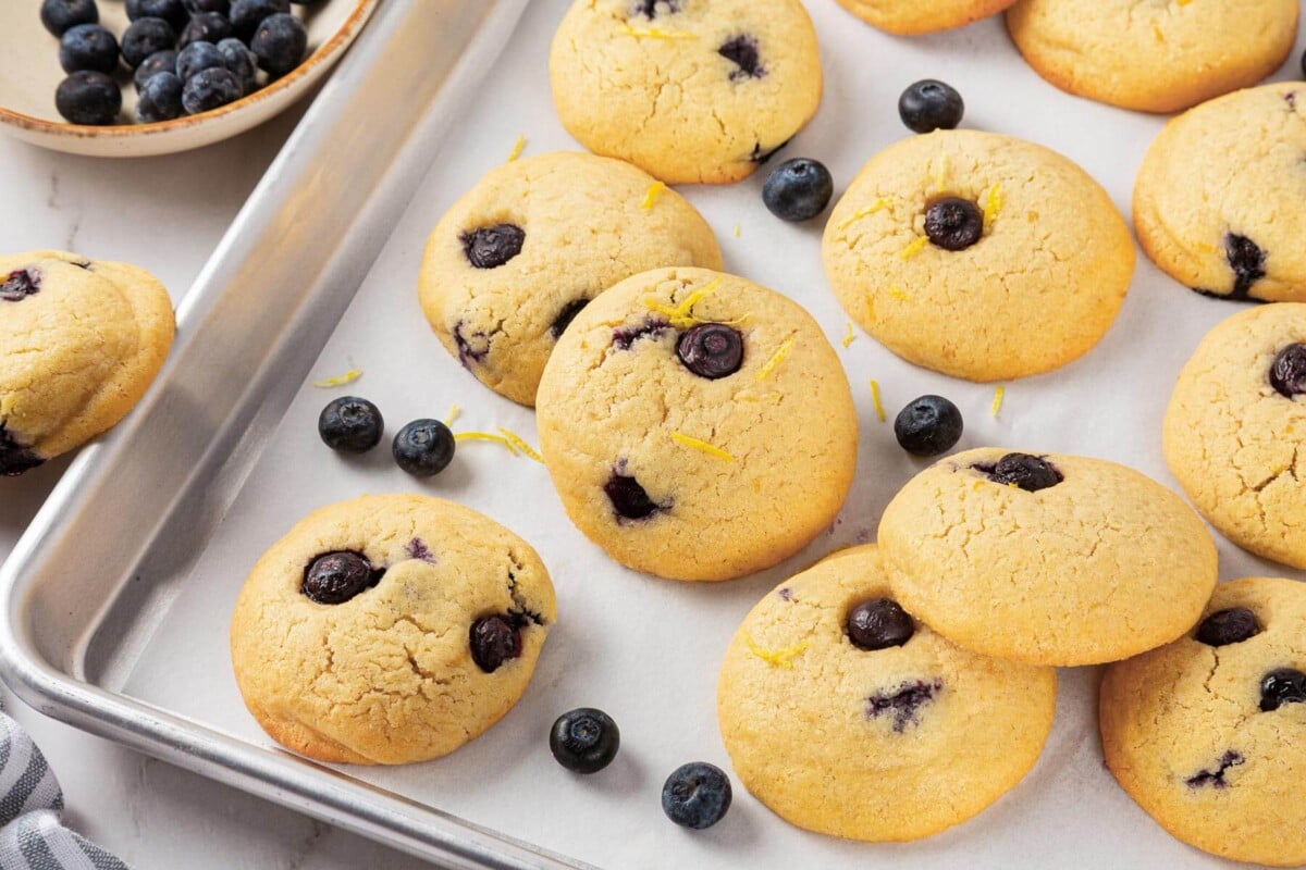 Thick cookies with blueberries baked into the surface.