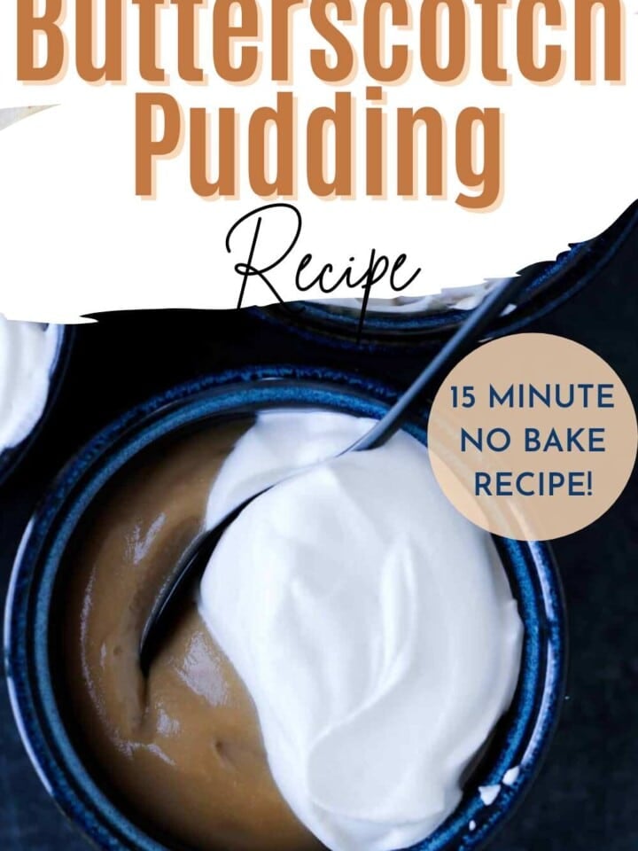 Spoon dipped into a bowl of creamy brown pudding.