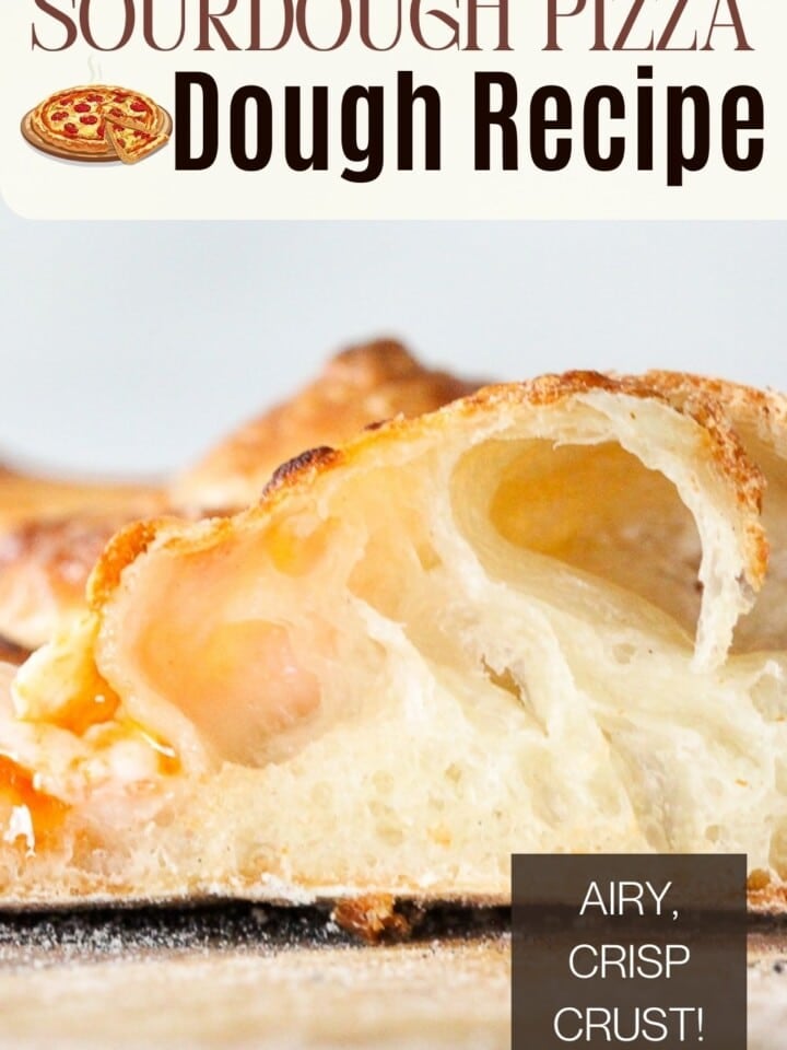 Sourdough pizza crust with bubbles.