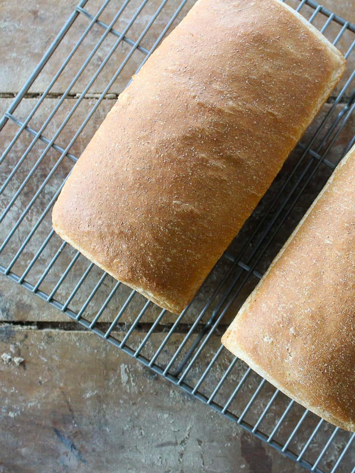 Two loaves of sandwich bread cooling on a metal rack, crust golden and evenly baked.