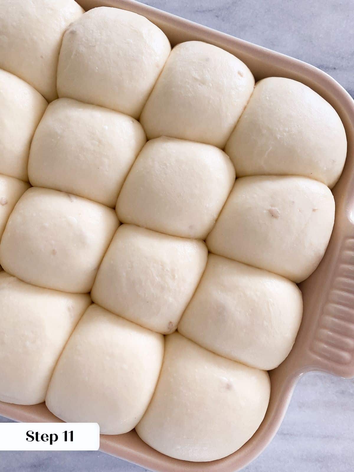 Proofed potato rolls, puffed up and ready for baking in the oven.