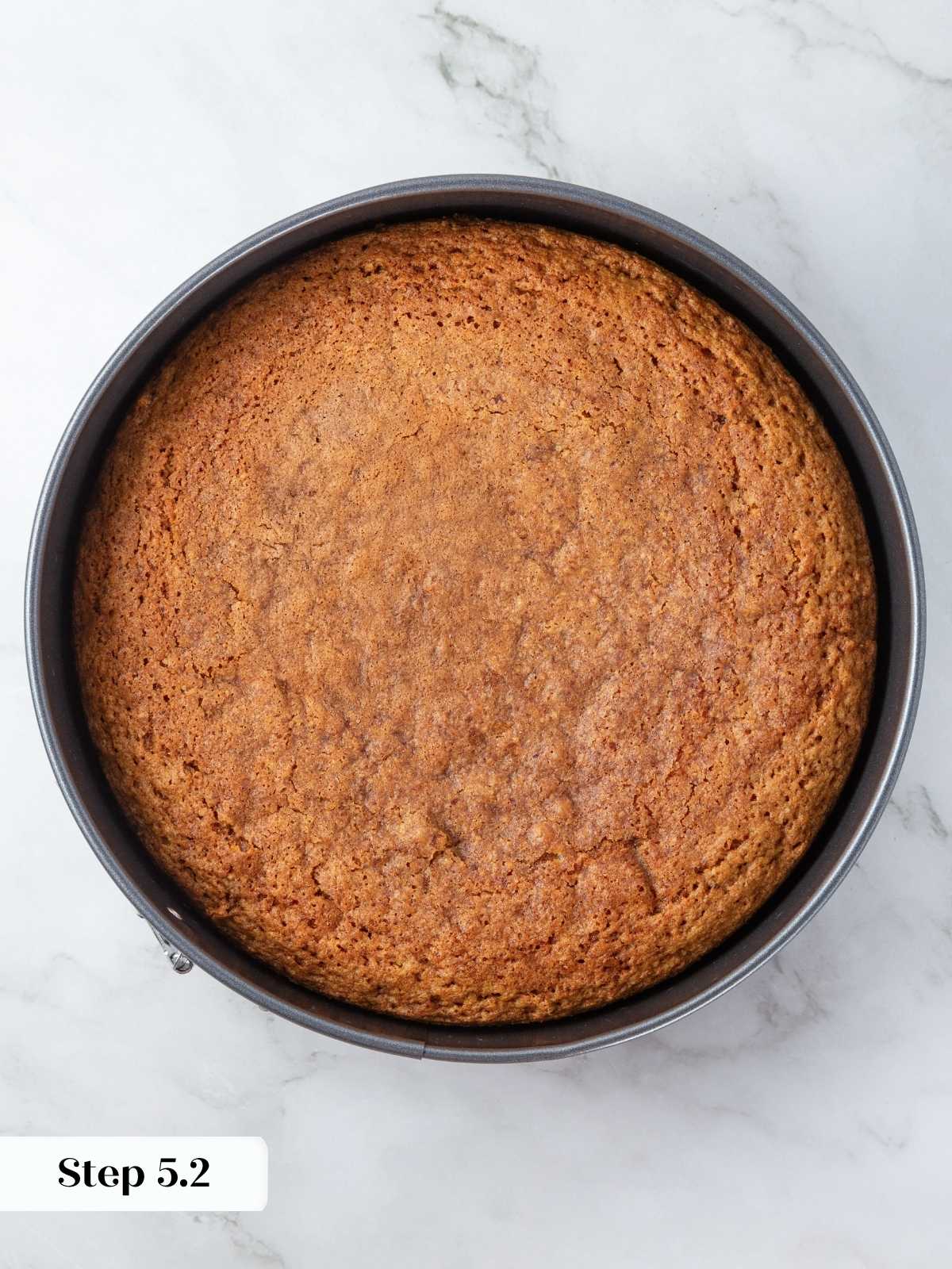 Warm baked pumpkin olive oil cake cooling in its pan with soft golden surface showing cracks.