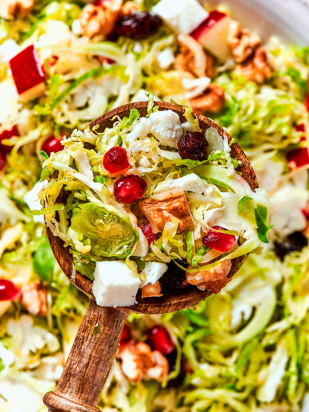 Shaved Brussels sprouts combined with pears, cherries, and feta ready to serve at the table.