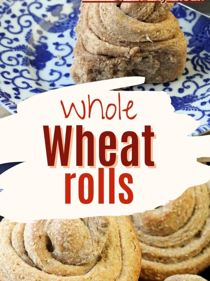 One spiral wheat roll sits alone on a plate, showing its swirled top and golden color.