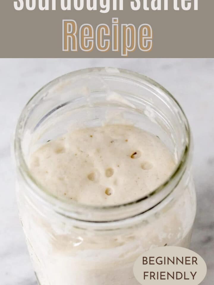 Healthy sourdough starter with bubbles forming across the surface, showing active fermentation.
