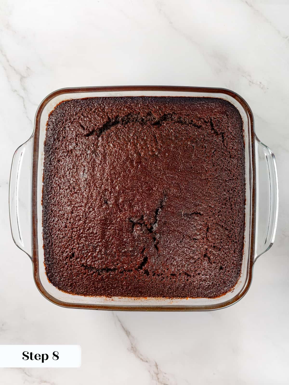 Whole gingerbread cake cooled slightly in its baking dish before slicing into squares.