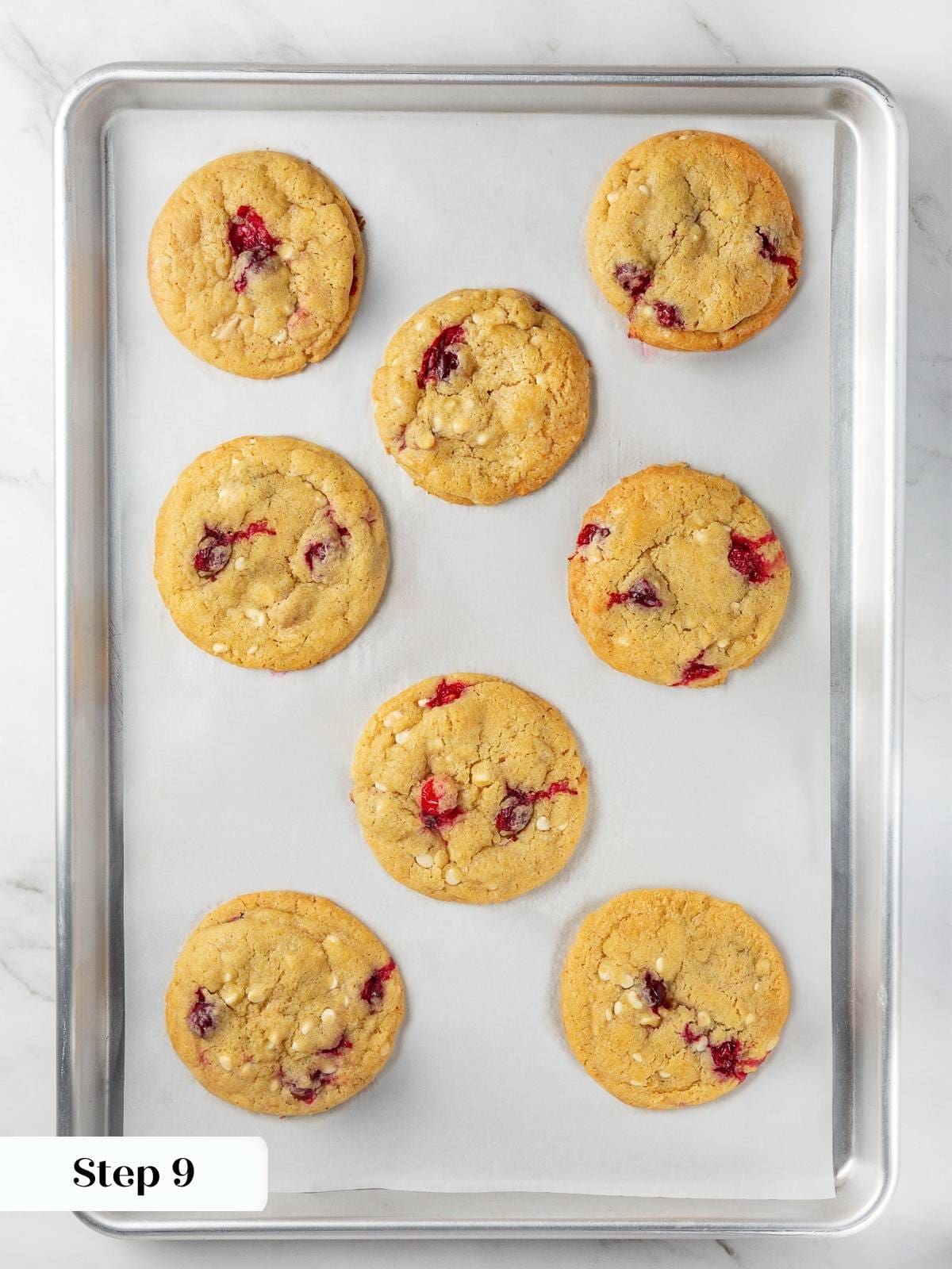 Freshly baked cranberry cookies resting on a parchment-lined baking sheet after baking.