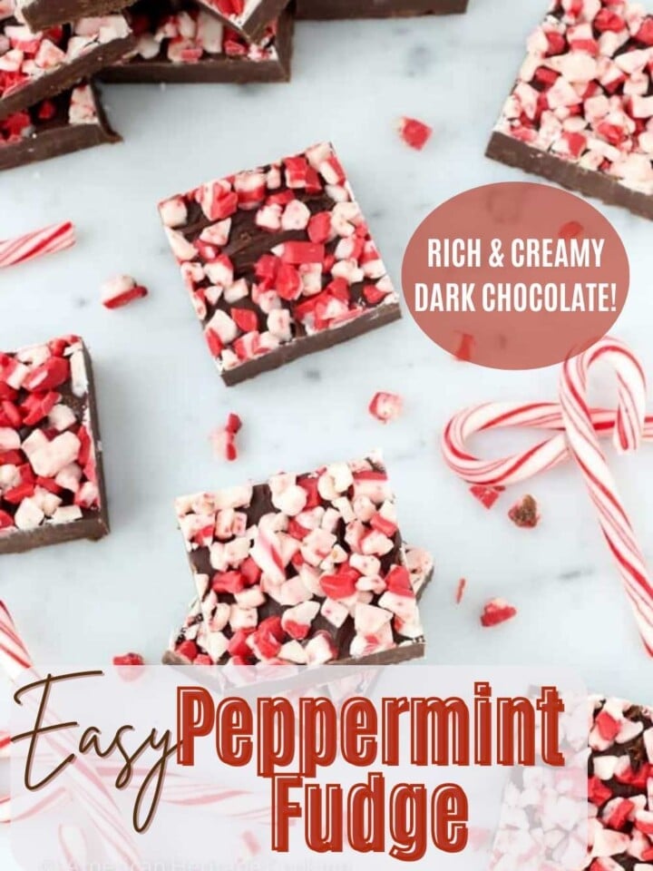 Dark chocolate peppermint fudge squares topped with crushed peppermint pieces.