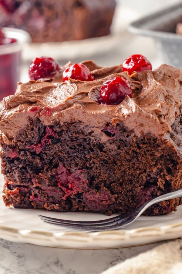 Moist chocolate cake slice with cherries visible throughout interior.