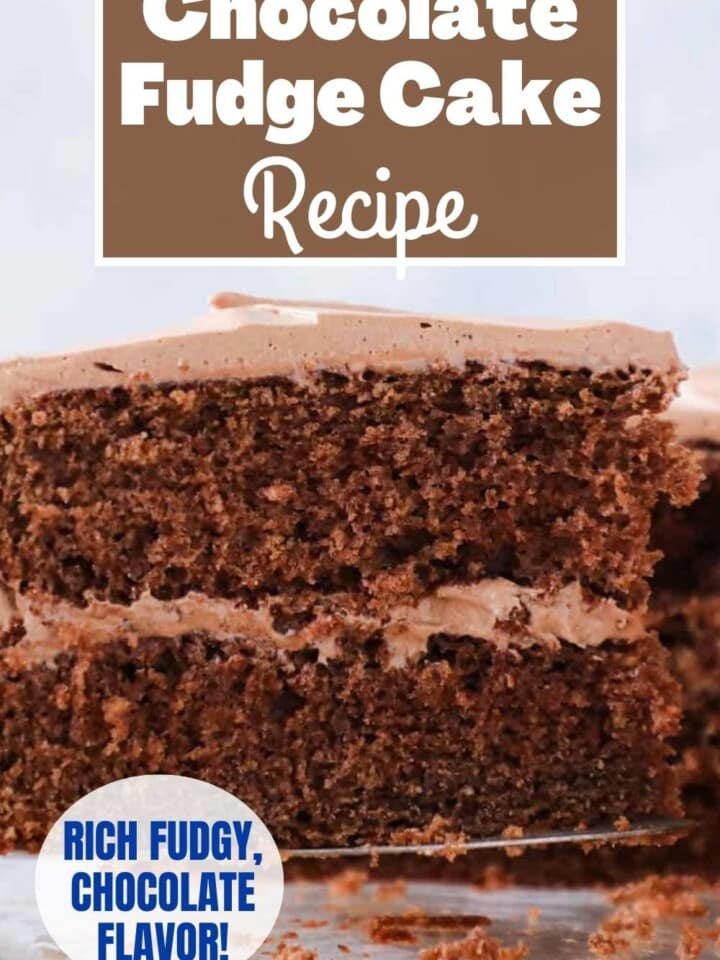 A slice of fluffy, moist chocolate fudge cake with chocolate frosting being served with a cake server.