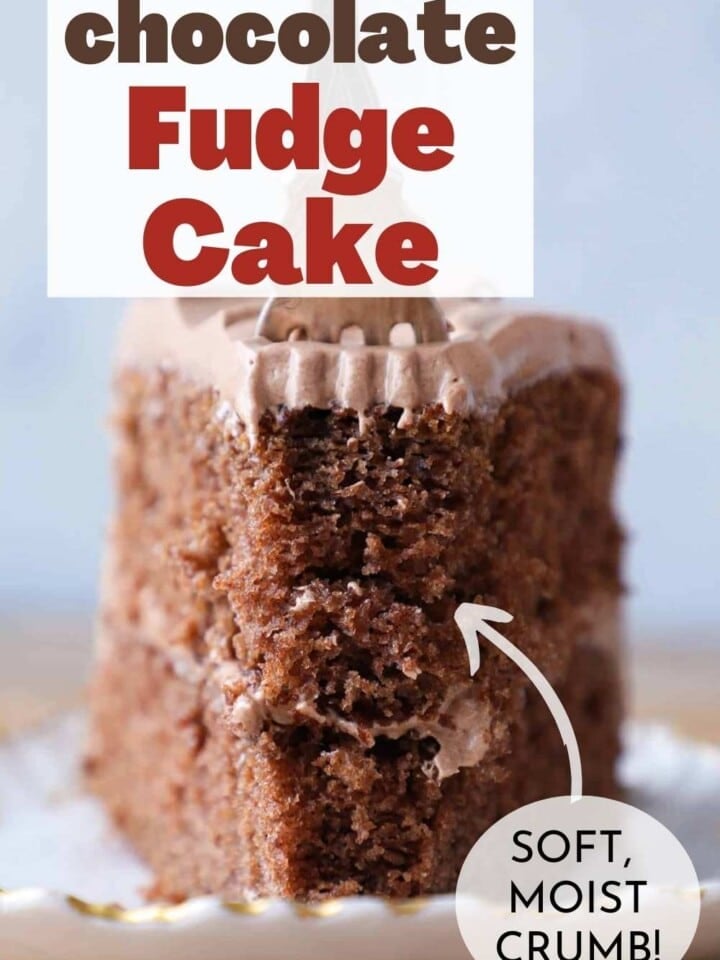 A slice of fluffy, moist chocolate fudge cake with chocolate frosting and a fork stuck in it.
